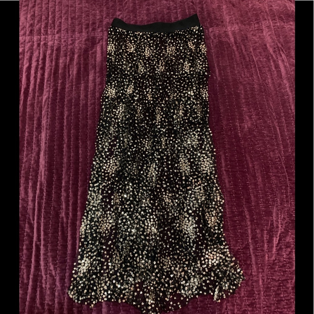 Forever 21 sheer glittery long skirt.